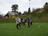 Tn Bild (118)